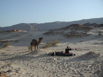 Sinai: Erwachen in der Wüste