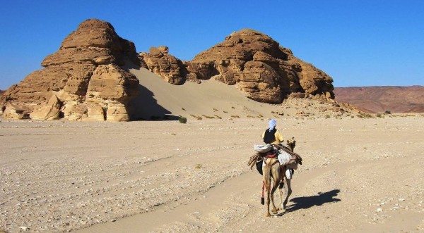 Kameltour durch die Wüste Sinai (Ägypten)