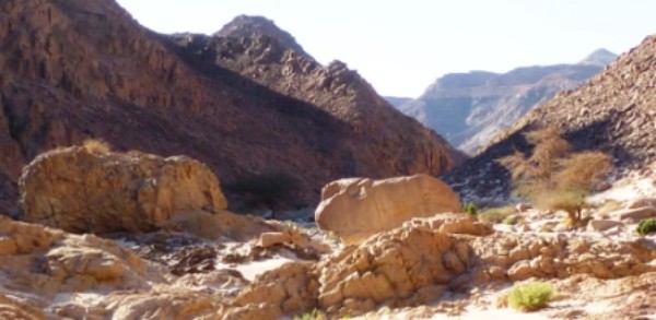 Landschaft im Süd-Sinai (2) Landschaft im Süd-Sinai (2)